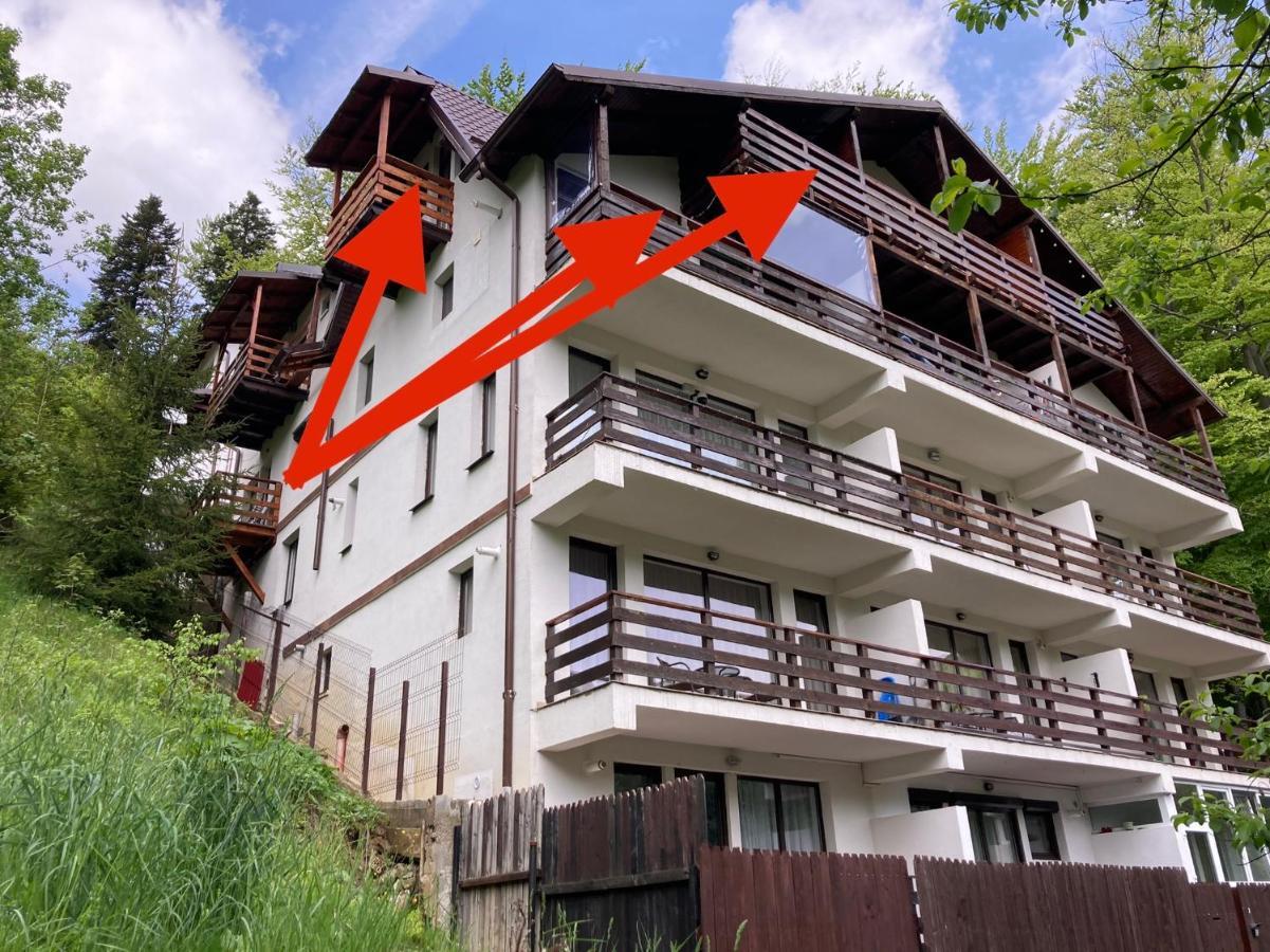 Lucas Duplex Apartment Azuga Luaran gambar
