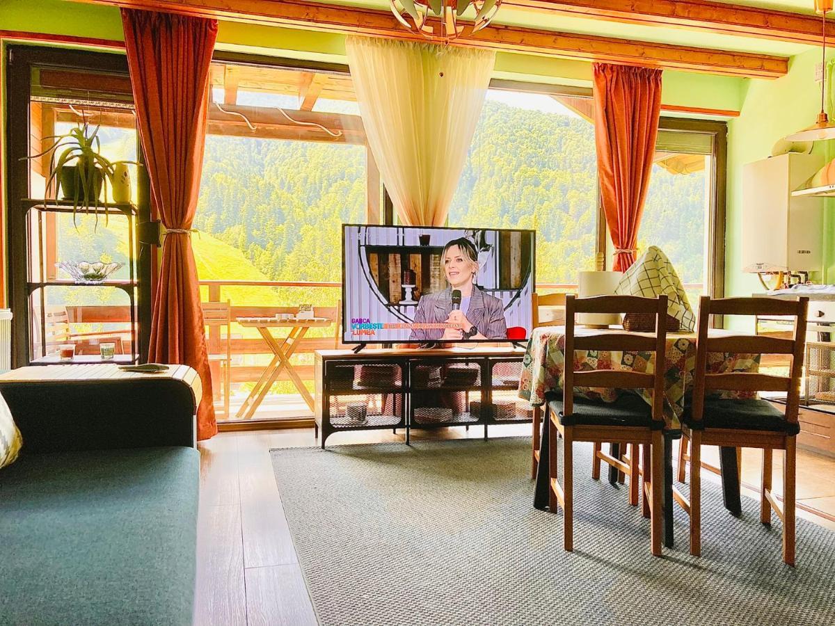 Lucas Duplex Apartment Azuga Luaran gambar