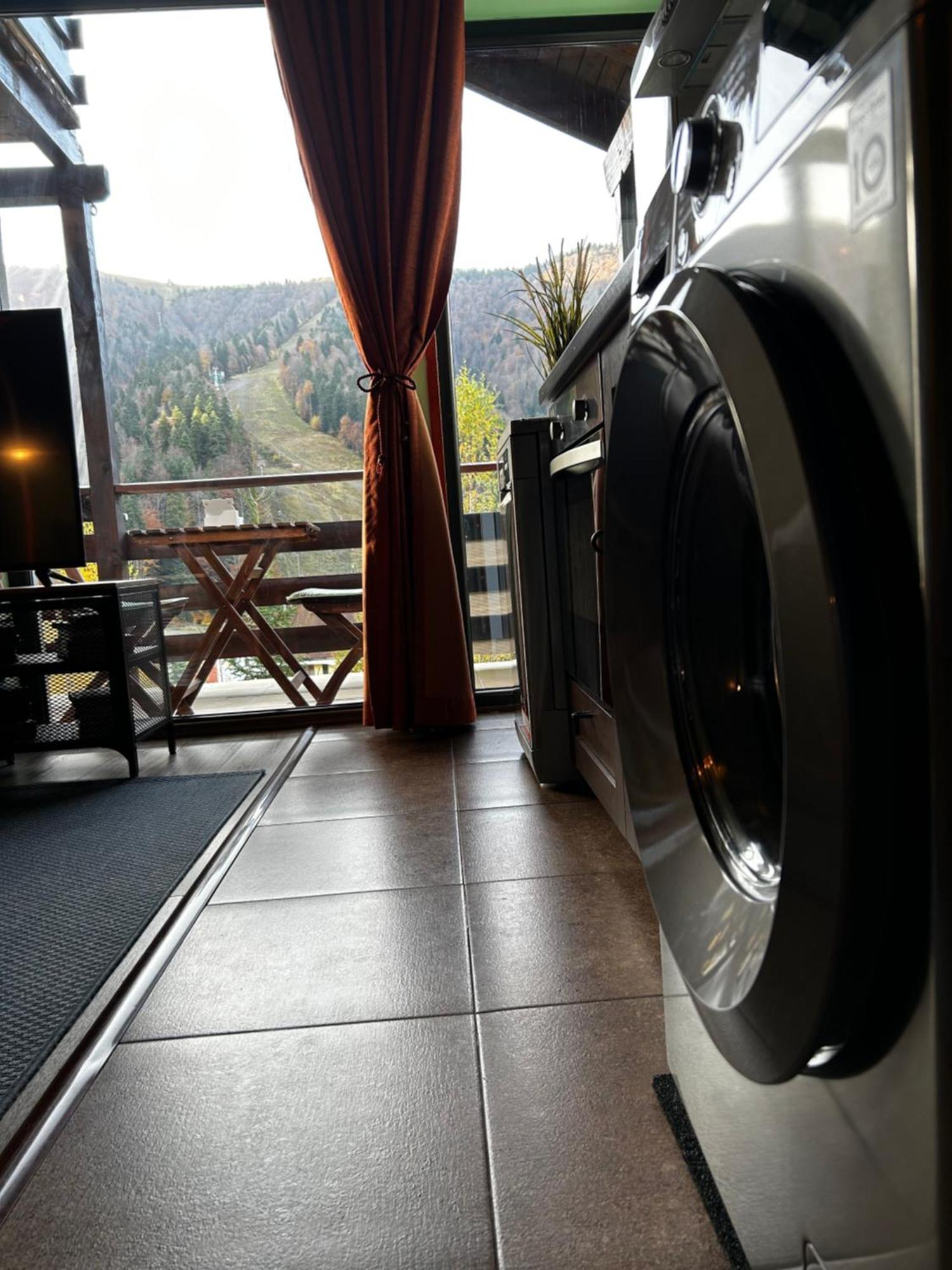 Lucas Duplex Apartment Azuga Luaran gambar