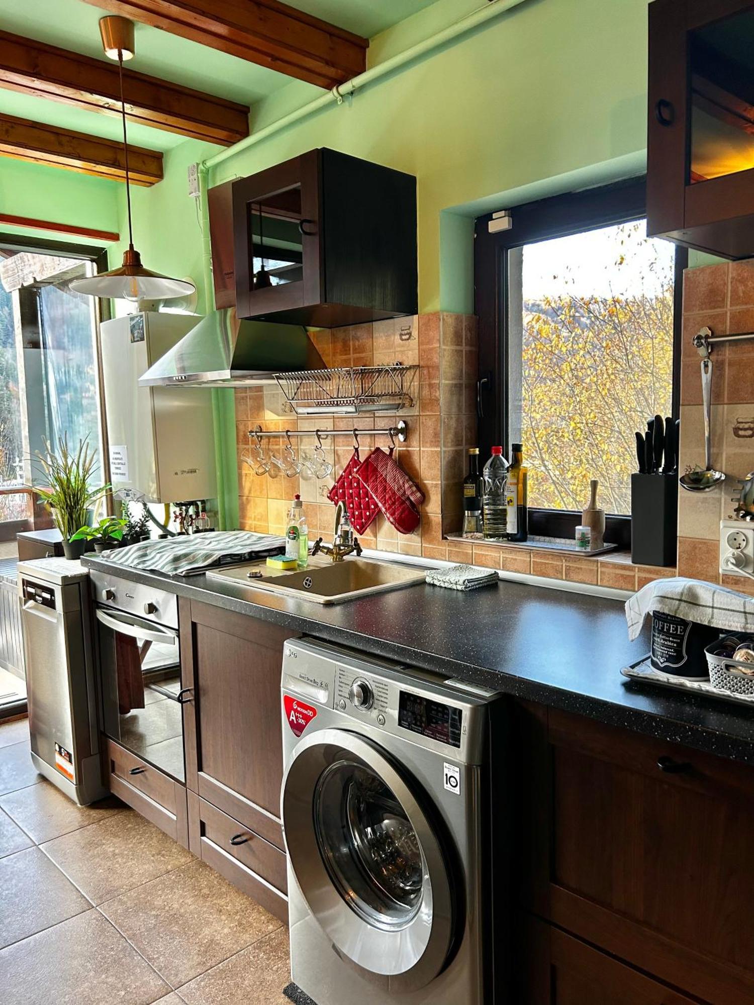 Lucas Duplex Apartment Azuga Luaran gambar