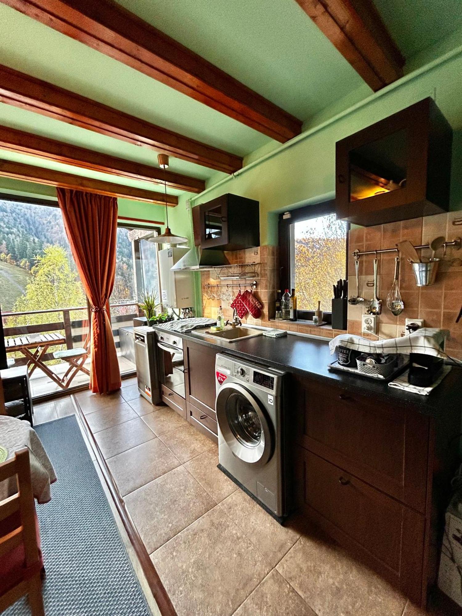 Lucas Duplex Apartment Azuga Luaran gambar